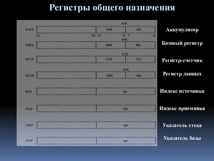 Регистры общего назначения Аккумулятор Базовый регистр Регистр-счетчик Регистр данных Индекс источника