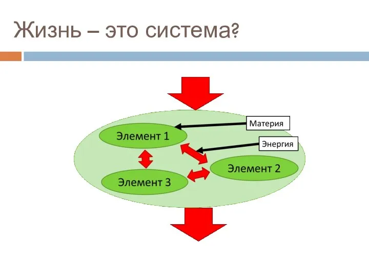 Жизнь – это система?