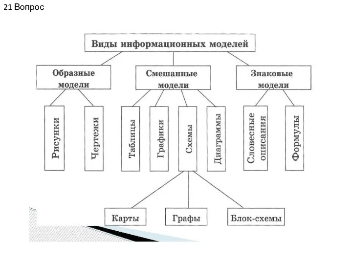 21 Вопрос