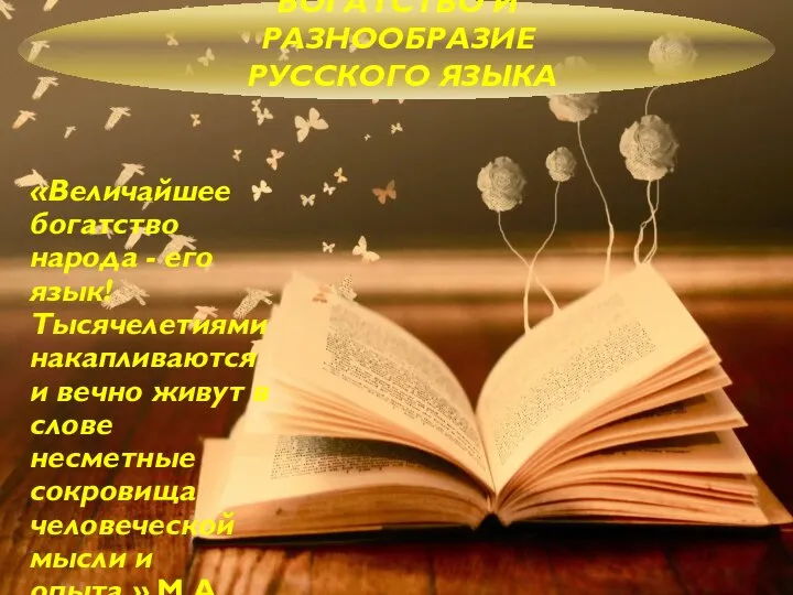 БОГАТСТВО И РАЗНООБРАЗИЕ РУССКОГО ЯЗЫКА «Величайшее богатство народа - его язык!