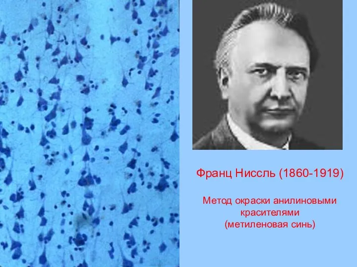 Франц Ниссль (1860-1919) Метод окраски анилиновыми красителями (метиленовая синь)