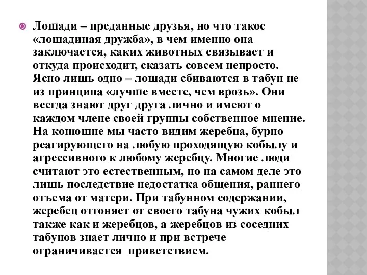 Лошади – преданные друзья, но что такое «лошадиная дружба», в чем