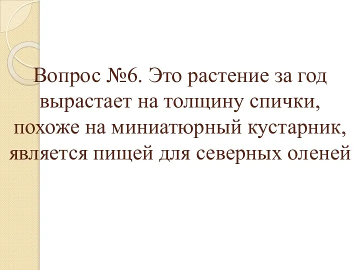 Вопрос №6. Это растение за год вырастает на толщину спички, похоже