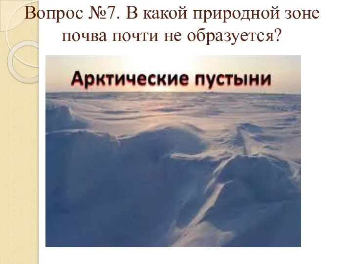 Вопрос №7. В какой природной зоне почва почти не образуется?