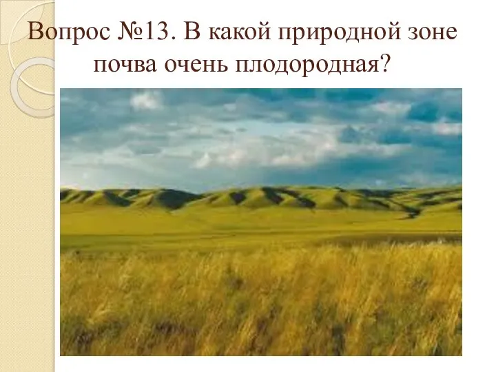 Вопрос №13. В какой природной зоне почва очень плодородная?