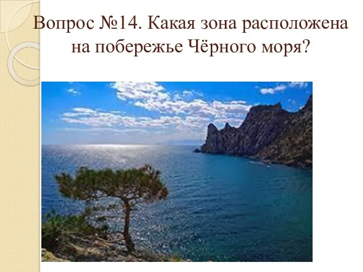 Вопрос №14. Какая зона расположена на побережье Чёрного моря?