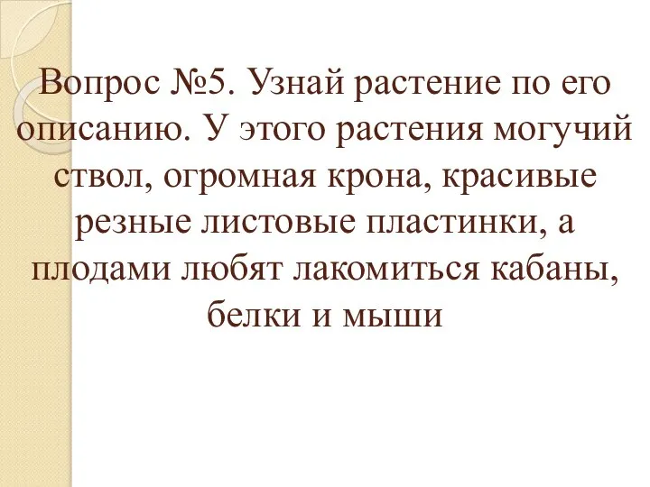 Вопрос №5. Узнай растение по его описанию. У этого растения могучий