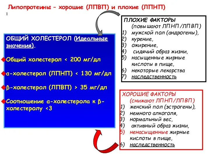 Липопротеины – хорошие (ЛПВП) и плохие (ЛПНП) ОБЩИЙ ХОЛЕСТЕРОЛ (Идеальные значения).