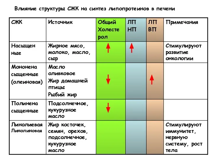 Влияние структуры СЖК на синтез липопротеинов в печени