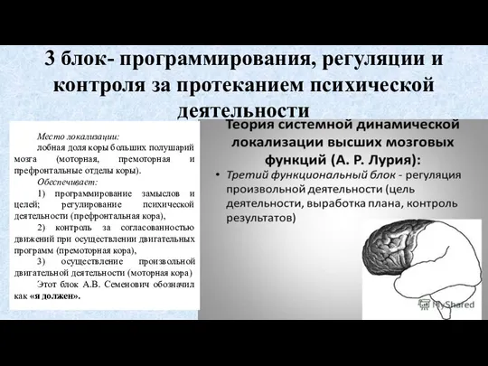 3 блок- программирования, регуляции и контроля за протеканием психической деятельности Место