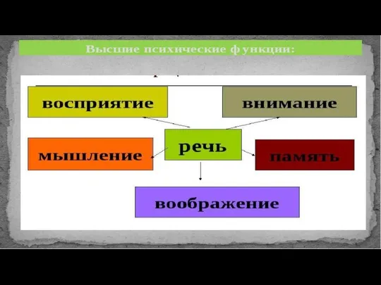 Основные ВПФ человека: