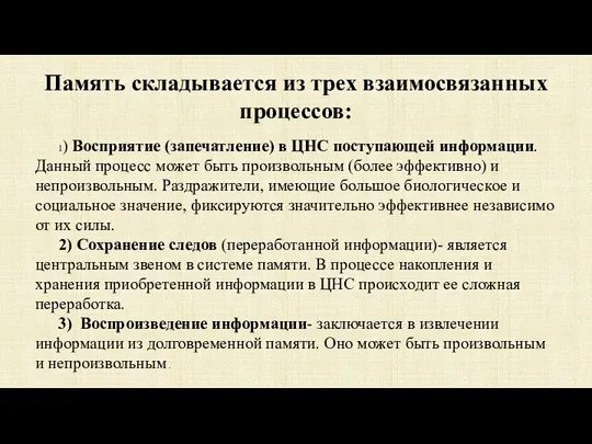 Память складывается из трех взаимосвязанных процессов: 1) Восприятие (запечатление) в ЦНС