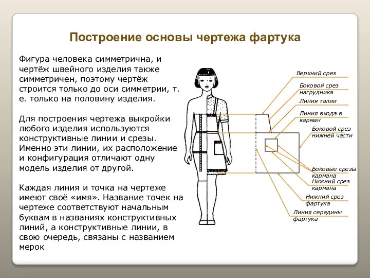 Построение основы чертежа фартука Фигура человека симметрична, и чертёж швейного изделия