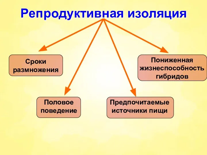 Репродуктивная изоляция Сроки размножения Предпочитаемые источники пищи Пониженная жизнеспособность гибридов Половое поведение