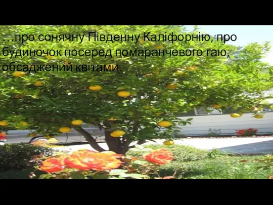 …про сонячну Південну Каліфорнію, про будиночок посеред помаранчевого гаю, обсаджений квітами.