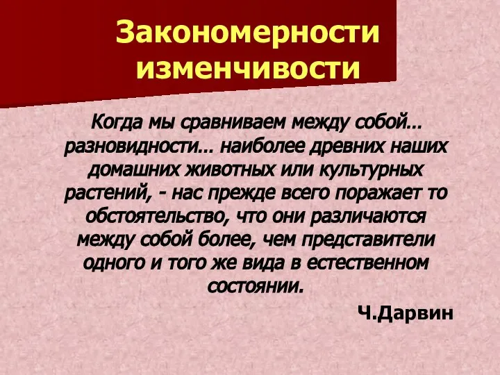 Закономерности изменчивости Когда мы сравниваем между собой… разновидности… наиболее древних наших