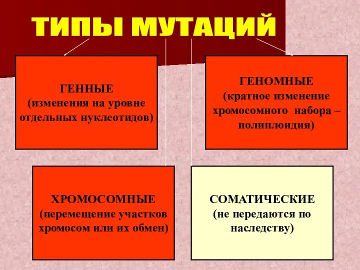 ГЕННЫЕ (изменения на уровне отдельных нуклеотидов) ГЕНОМНЫЕ (кратное изменение хромосомного набора