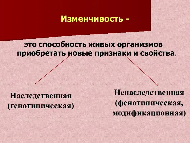 Изменчивость - это способность живых организмов приобретать новые признаки и свойства. Наследственная (генотипическая) Ненаследственная (фенотипическая, модификационная)