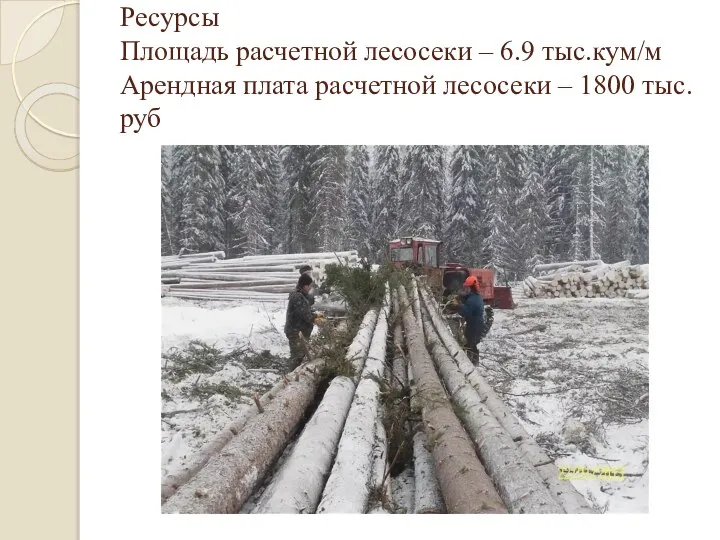Ресурсы Площадь расчетной лесосеки – 6.9 тыс.кум/м Арендная плата расчетной лесосеки – 1800 тыс.руб