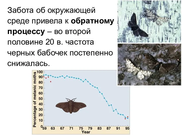 Забота об окружающей среде привела к обратному процессу – во второй