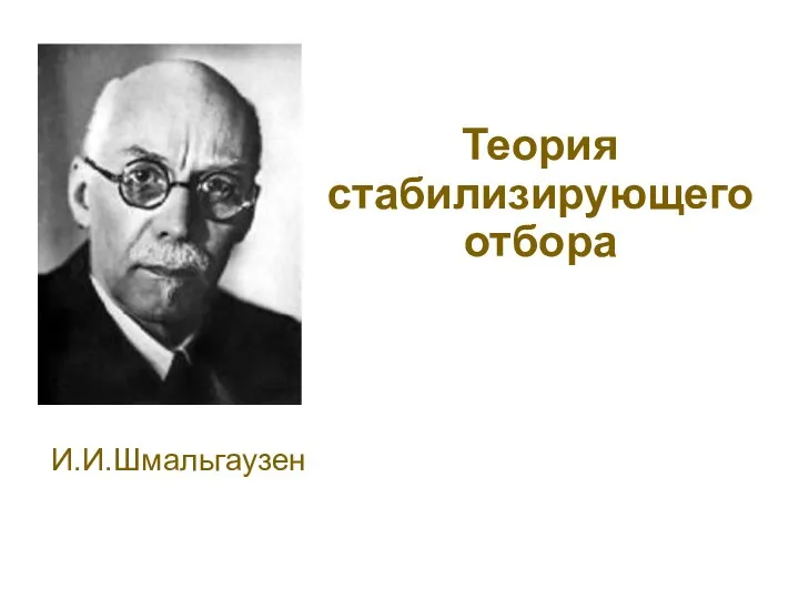 Теория стабилизирующего отбора И.И.Шмальгаузен