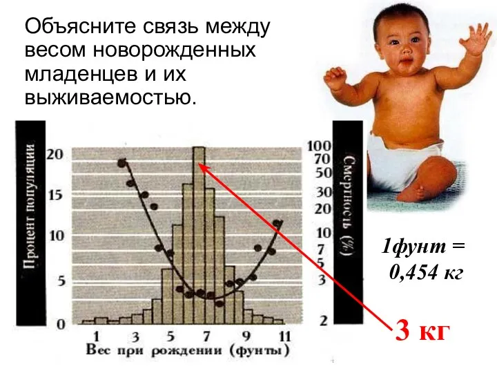 Объясните связь между весом новорожденных младенцев и их выживаемостью. 1фунт = 0,454 кг 3 кг