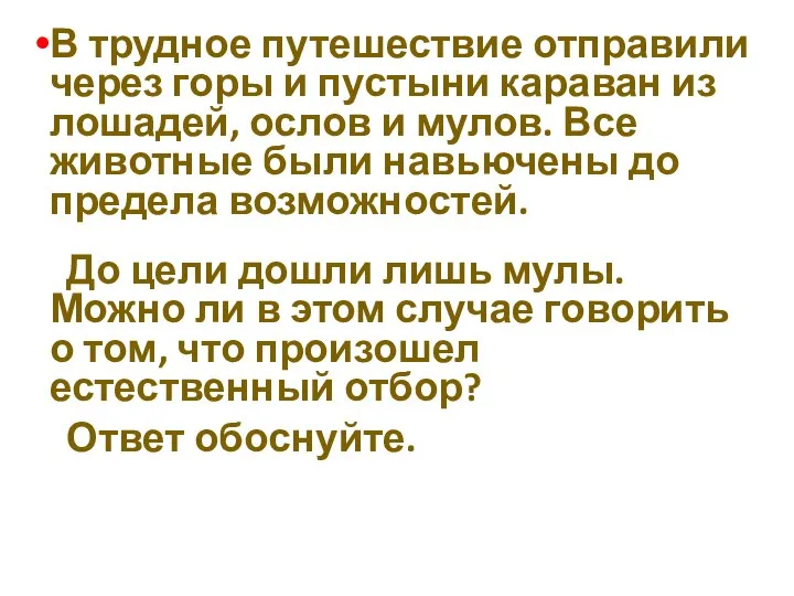 В трудное путешествие отправили через горы и пустыни караван из лошадей,