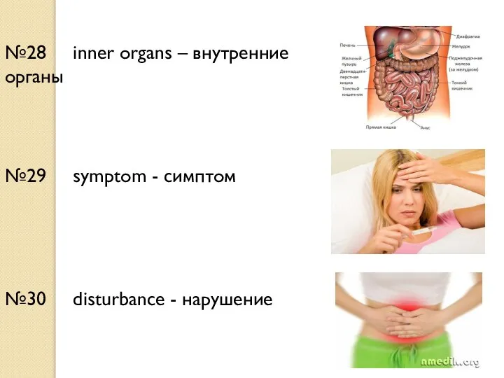 №28 inner organs – внутренние органы №29 symptom - симптом №30 disturbance - нарушение