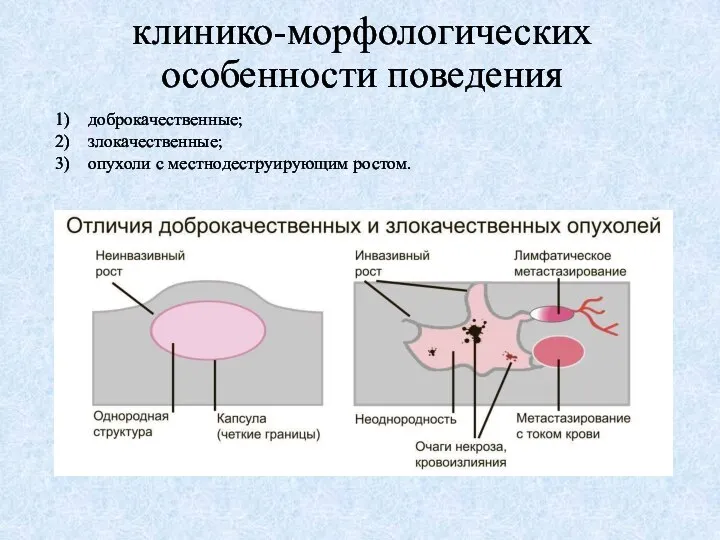 клинико-морфологических особенности поведения доброкачественные; злокачественные; опухоли с местнодеструирующим ростом.