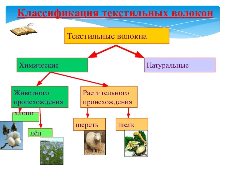 Классификация текстильных волокон Текстильные волокна Химические Натуральные Животного происхождения Растительного происхождения хлопок лён шерсть шелк