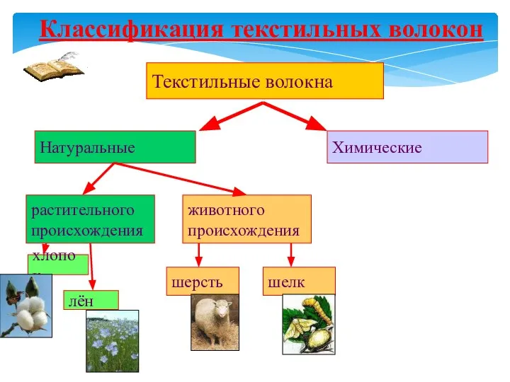 Классификация текстильных волокон Текстильные волокна Натуральные Химические растительного происхождения животного происхождения хлопок лён шерсть шелк