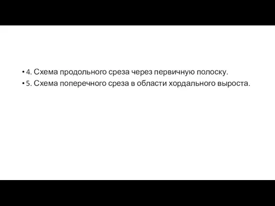 4. Схема продольного среза через первичную полоску. 5. Схема поперечного среза в области хордального выроста.