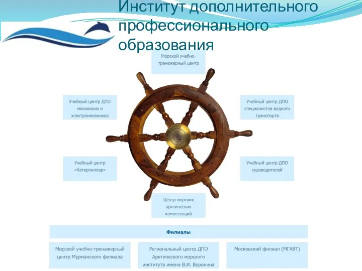 Институт дополнительного профессионального образования