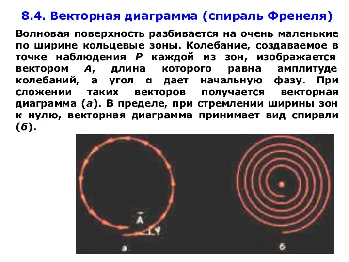 8.4. Векторная диаграмма (спираль Френеля) Волновая поверхность разбивается на очень маленькие