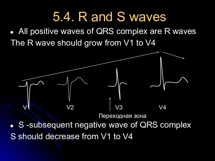 5.4. R and S waves All positive waves of QRS complex