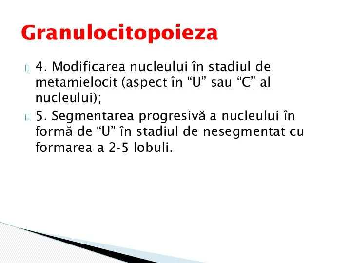 4. Modificarea nucleului în stadiul de metamielocit (aspect în “U” sau