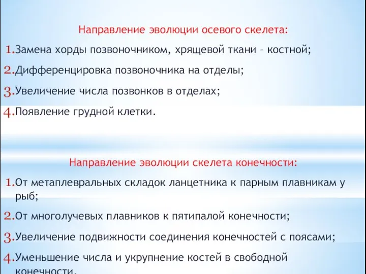 Направление эволюции осевого скелета: Замена хорды позвоночником, хрящевой ткани – костной;