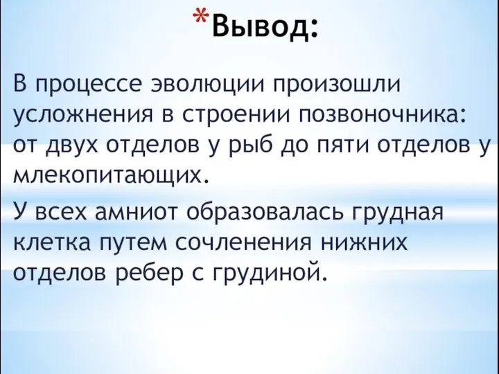 Вывод: В процессе эволюции произошли усложнения в строении позвоночника: от двух