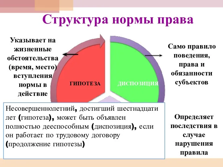 Структура нормы права Указывает на жизненные обстоятельства (время, место) вступления нормы