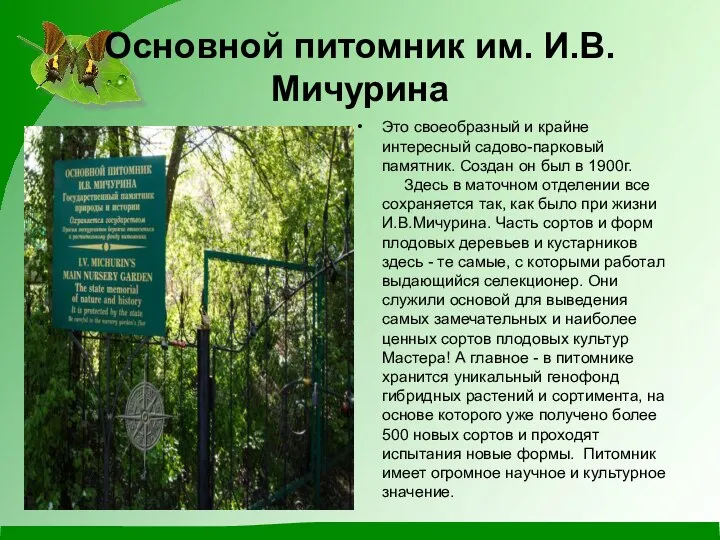 Основной питомник им. И.В.Мичурина Это своеобразный и крайне интересный садово-парковый памятник.