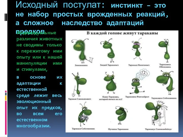 Исходный постулат: инстинкт – это не набор простых врожденных реакций, а