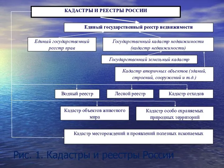 Рис. 1. Кадастры и реестры России