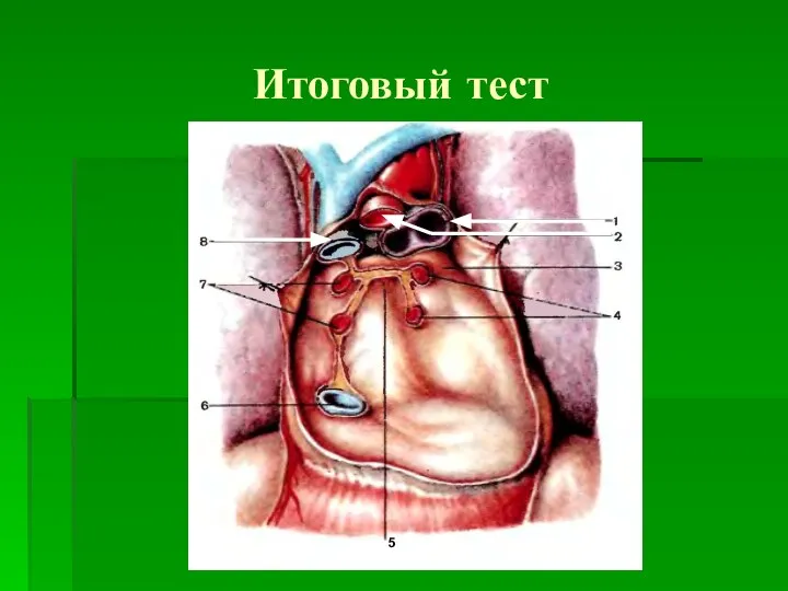 Итоговый тест 5