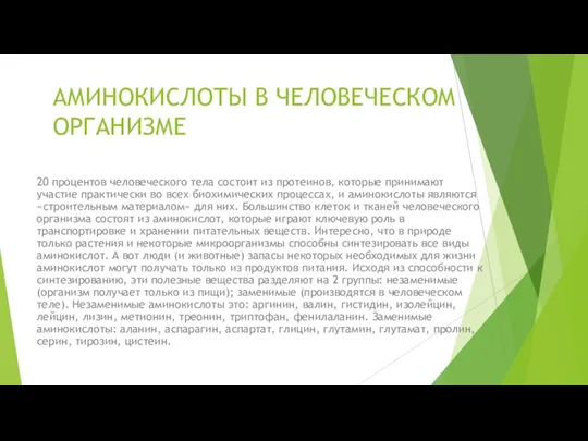 АМИНОКИСЛОТЫ В ЧЕЛОВЕЧЕСКОМ ОРГАНИЗМЕ 20 процентов человеческого тела состоит из протеинов,