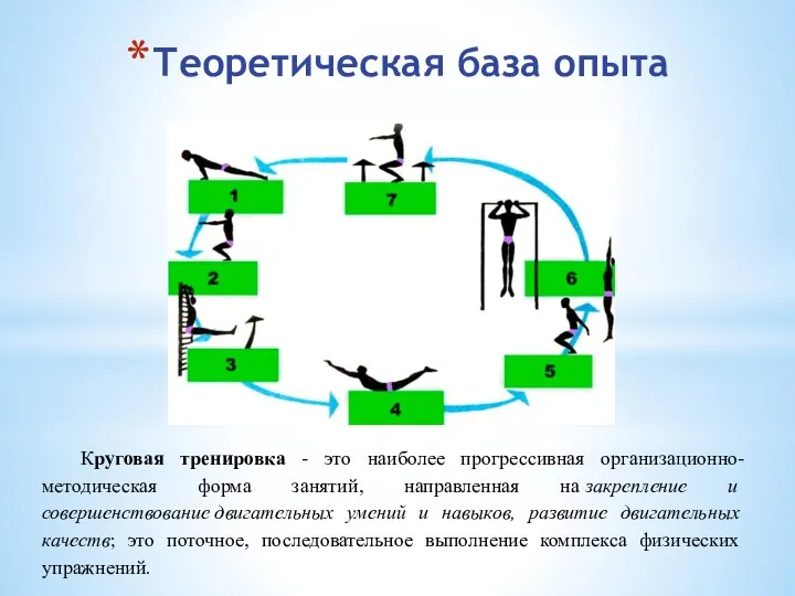 Теоретическая база опыта Круговая тренировка - это наиболее прогрессивная организационно-методическая форма