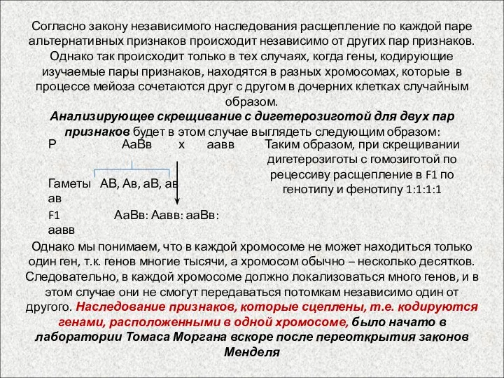 Согласно закону независимого наследования расщепление по каждой паре альтернативных признаков происходит