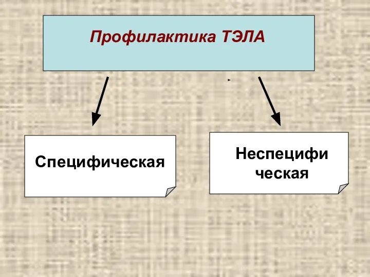 Профилактика ТЭЛА Специфическая Неспецифическая