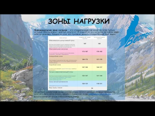 ЗОНЫ НАГРУЗКИ Индивидуальные зоны нагрузки – это определенные значения частоты пульса,