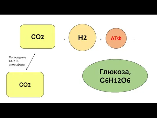 АТФ Н2 СО2 Поглощение СО2 из атмосферы + + = Глюкоза, С6Н12О6 СО2