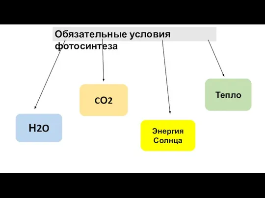 Обязательные условия фотосинтеза Н2O CО2 Энергия Солнца Тепло